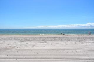 202 - Surf Side South - 1