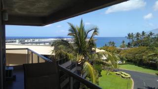 Maui Banyan H502 - 0