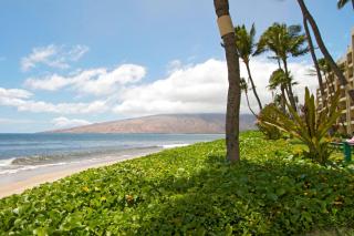 Sugar Beach 416 - Kihei - 1