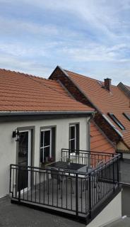 Ferien im Gartenrausch - Gönn Dir eine Auszeit im Herzen von Wörlitz - 1