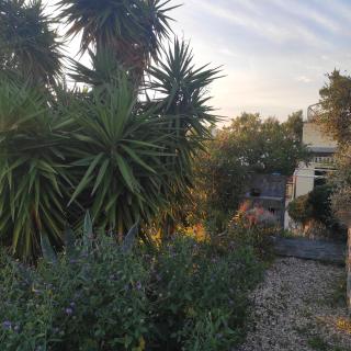 Appartamento Taggiasca con piscina - Riva Trigoso - 2