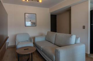 Magnificent 3BR with balcony in San Isidro - 6