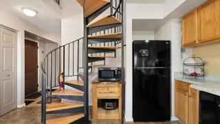 Sans Souci Cabin - 4