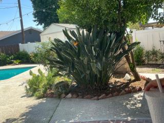 4BR Home near Universal - Private Pool, BBQ, Free Parking - 6