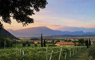 Villetta Moscal- Buon Gusto - 7