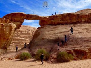 Najd Luxury Camp - 8