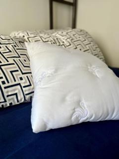 Sobrado 200m do mar em Praia de Leste - 7