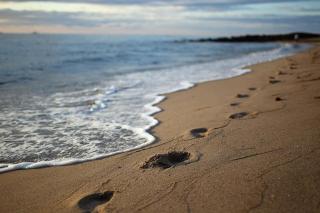 Appartements im Seepark Sellin - 5