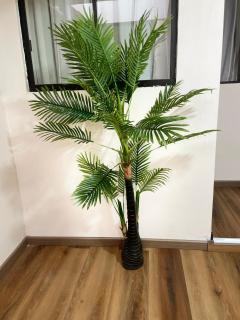Hotel Boutique Blanca Gazzo - 6