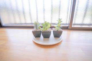 REKADO ROOM Heisei - 1