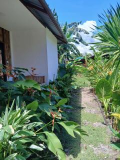 Jared Adrian Room Rental - 1