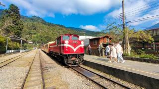 奮起湖揚揚民宿 - 0