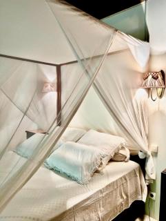 Domaine de Mahavel - 8