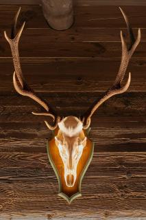 Attic Apartment In Sauris Di Sopra Dolomites - 2