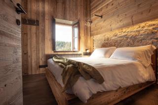Attic Apartment In Sauris Di Sopra Dolomites - 1