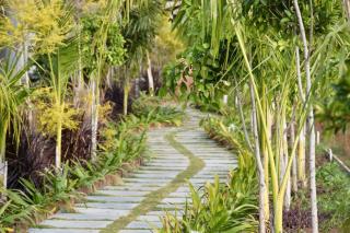 Geeta Bagh - Luxury Farm Stay With Private Pool Villa In Pushkar - 1