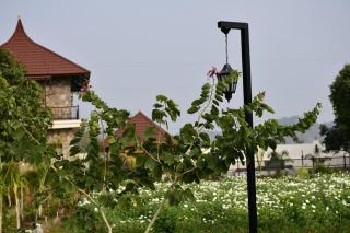 Geeta Bagh - Luxury Farm Stay With Private Pool Villa In Pushkar - 4