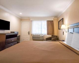 Rodeway Inn Carlsbad - Carlsbad - 3