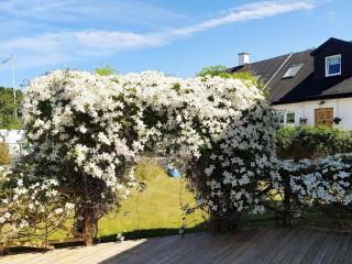 5 person holiday home in SMYGEHAMN - 6