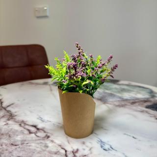 Entire Stunning Apartment Accommodation in Christchurch City Centre - 2