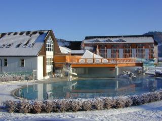 Terme Zrece - Hotel Vital - Zreče - 6
