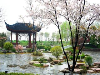 Worldhotel Grand Dushulake Suzhou - Suzhou - 7