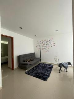 Alma Xoloitzcuintle - 4