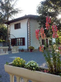 Boscodisotto - Rapolano Terme - 5