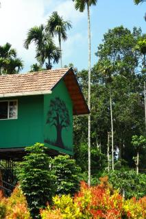 dk village jungle resort - 8