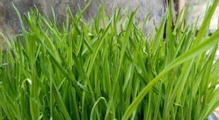 Beihai forget dust International Youth Hostel - 6