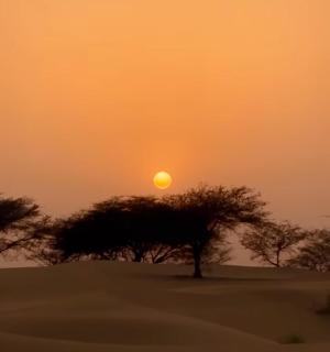 Jaisalmer Villa Resort & Camp Jaisalmer - 8