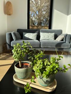 Maison vue mer Saint Briac sur Mer - plage 300m - Golf à 400m - 8