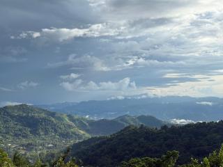 ไร่ชาอาโซ - 4