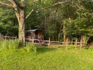 Roulotte en pleine nature - 9