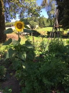 Roulotte en pleine nature - 3