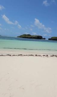 Majestik palms beach appartments - 3