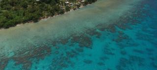 Turtle Cove Villas - 6