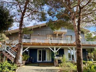 Villa du Cap - Chambre d'hôtes - 3