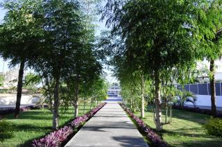 Luganvilla Business Hotel and Restaurant - Luganville - 7
