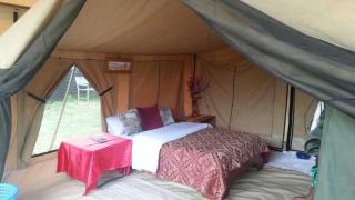 Tarpo Luxury Camping - 4