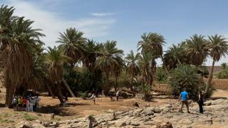 Atta Desert Camp - 7