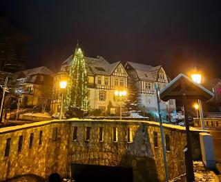 Apartment Bergliebe mit Sauna - 4