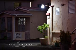 Ventnor House Apartments - 3