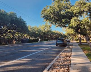 Butterfly Cottage - 8