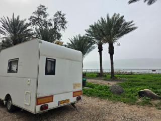 רויאל וואן - 7