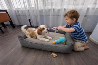 The Hague Teleport Hotel - Free Parking - 2