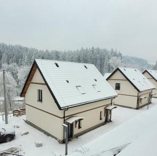 Black Hill GINGER apartament z sauną - 9