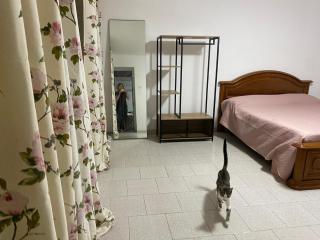 Biancaneve I Suoi Nanni - 5