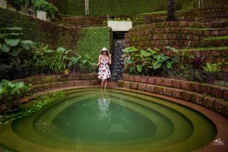 Seascape Beach Retreat - 9