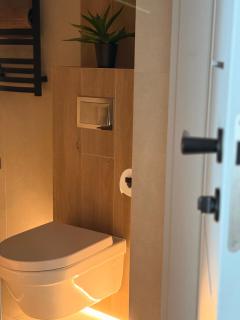 Modern Zauniaus Studio - 2